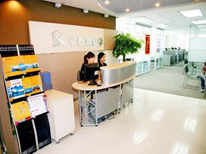 沈陽亨泰萊信息咨詢服務加入助威團，拓展行業合作新篇章